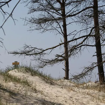 Am Trommelplatz - 4 Apartman