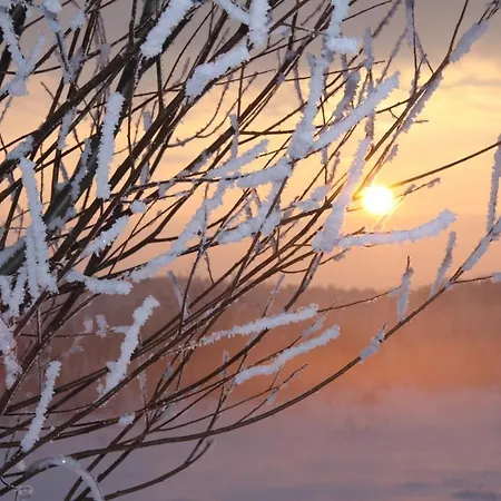 Am Trommelplatz - 4 Wieck